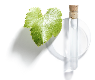 Viniferine